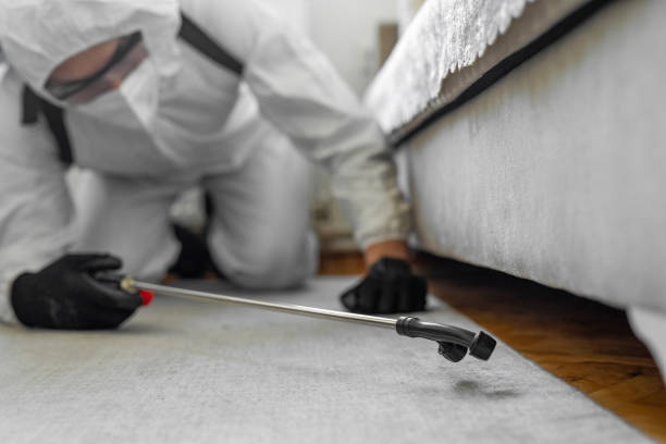 Professional Ant Control technician working in Lake Brownwood, TX