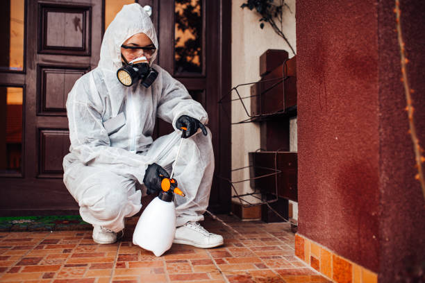 Reliable Ant Control contractor in Lake Brownwood, TX by Show Me Pest Control